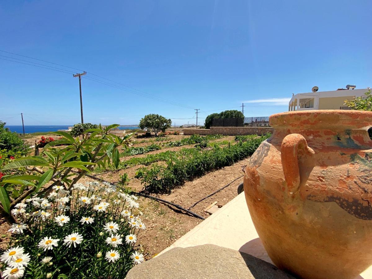 Michail Suites Afiartis Karpathos Экстерьер фото